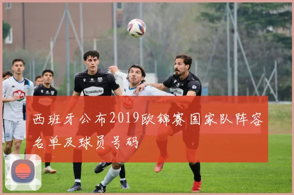 西班牙公布2019欧锦赛国家队阵容名单及球员号码