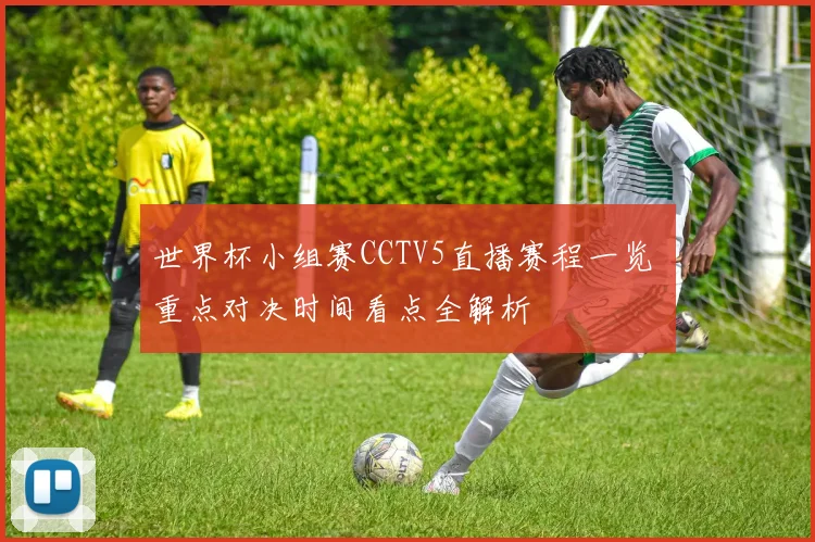 世界杯小组赛CCTV5直播赛程一览 重点对决时间看点全解析