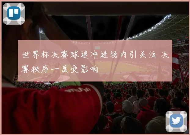 世界杯决赛球迷冲进场内引关注 决赛秩序一度受影响