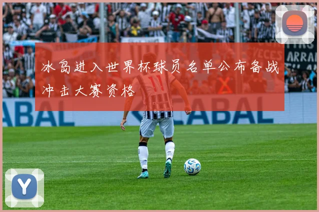 冰岛进入世界杯球员名单公布备战冲击大赛资格
