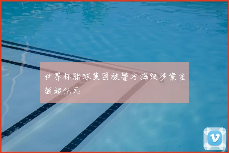 世界杯赌球集团被警方捣毁涉案金额超亿元