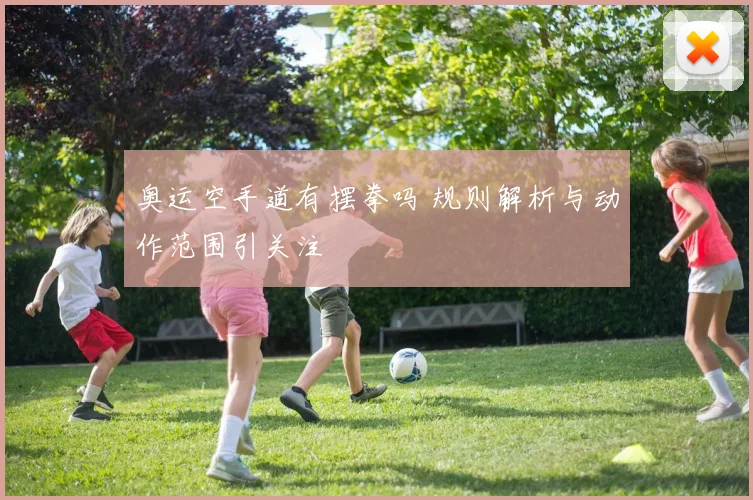 奥运空手道有摆拳吗 规则解析与动作范围引关注