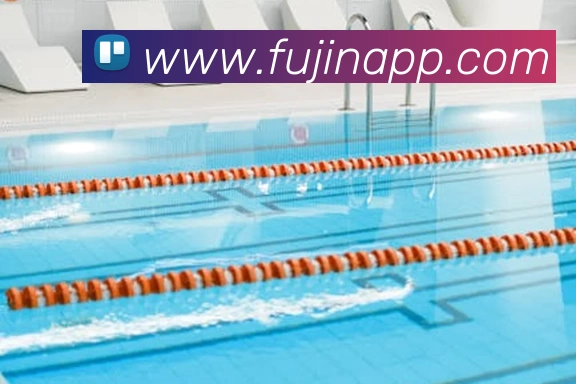 App Interface Preview